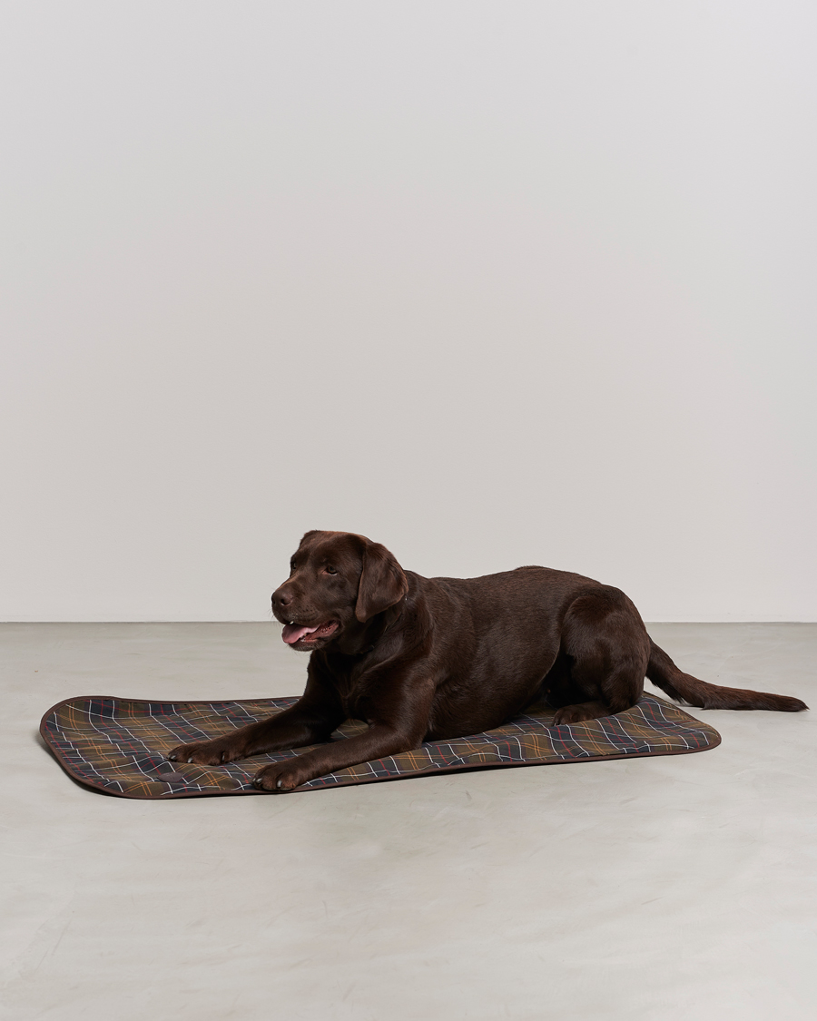 Mies | Lifestyle | Barbour Lifestyle | Dog Blanket Classic/Brown