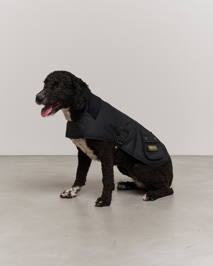 Mies | Lifestyle | Barbour International | Dog Coat Black