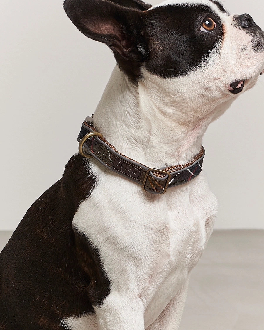 Mies | Barbour | Barbour International | Reflective Tartan Dog Collar Classic