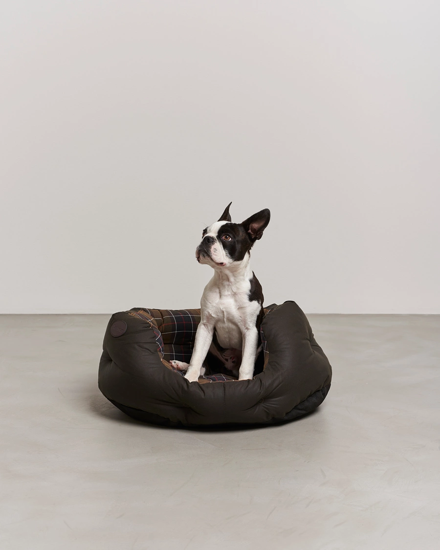 Mies | Parhaat lahjavinkkimme | Barbour Lifestyle | Wax Cotton Dog Bed 24' Olive